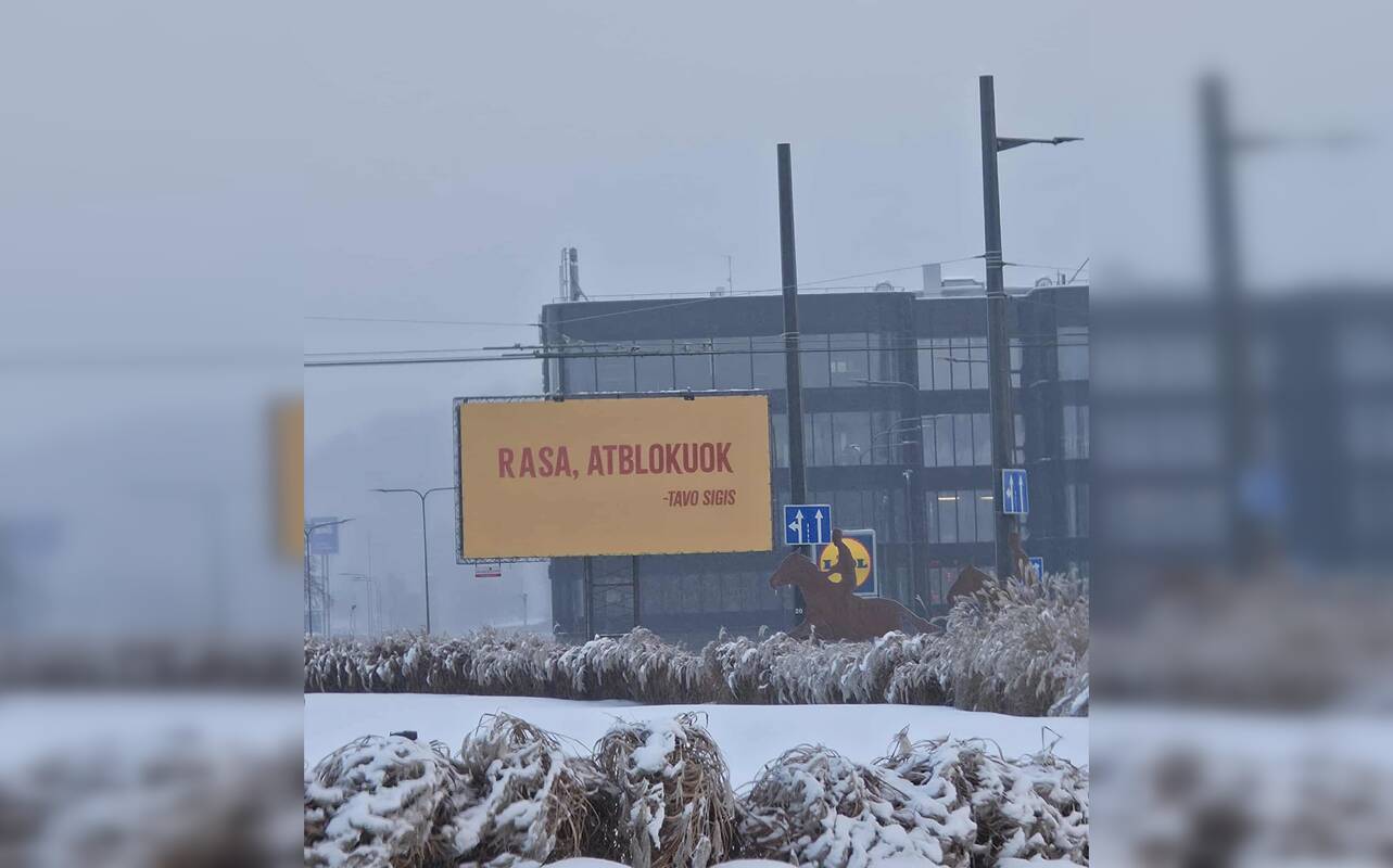 
<span>Stendas Pilies žiede prikaustė internautų dėmesį: dabar visos Rasos susimąstė!</span>
