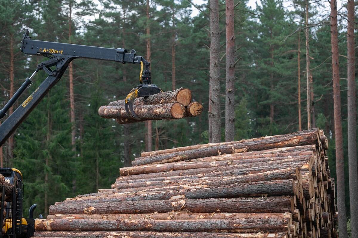 
<span>Janulevičius: parduodame pigiau, o paskui patys perkame brangiau</span>
