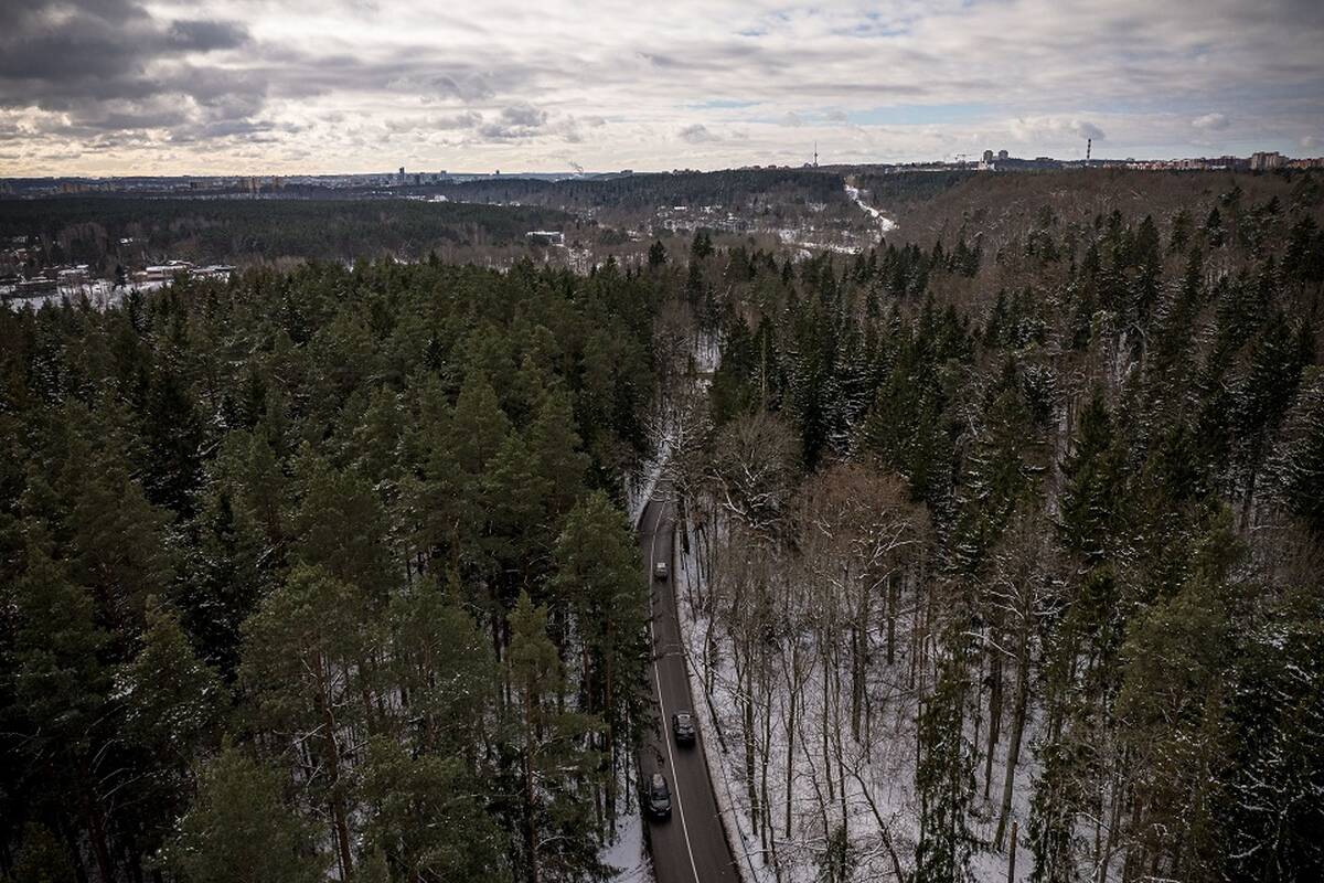 
<span>Aplinkos ministerija: kitą savaitę bus svarstomas atnaujintas Miškų įstatymo projektas</span>
