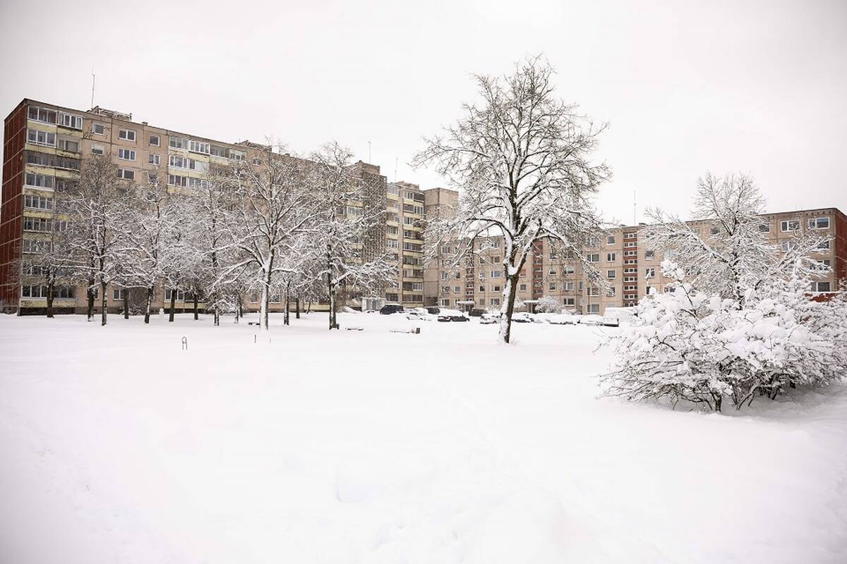 
<span>Siūloma, kad gyvenantys savivaldybės būstuose juos galėtų įsigyti: įvardijo būdą</span>
