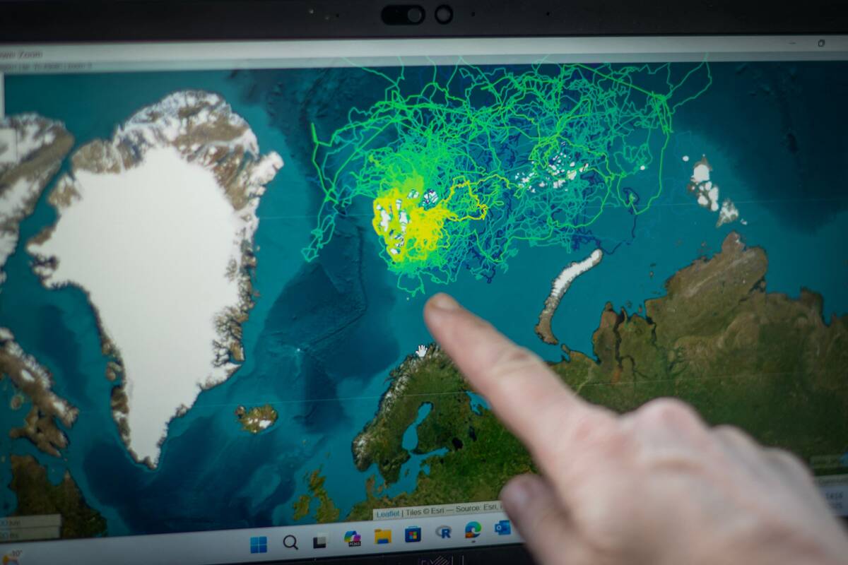 
<span>Norvegijos žvalgyba: Rusija ir Kinija siekia didinti įtaką Svalbarde</span>
