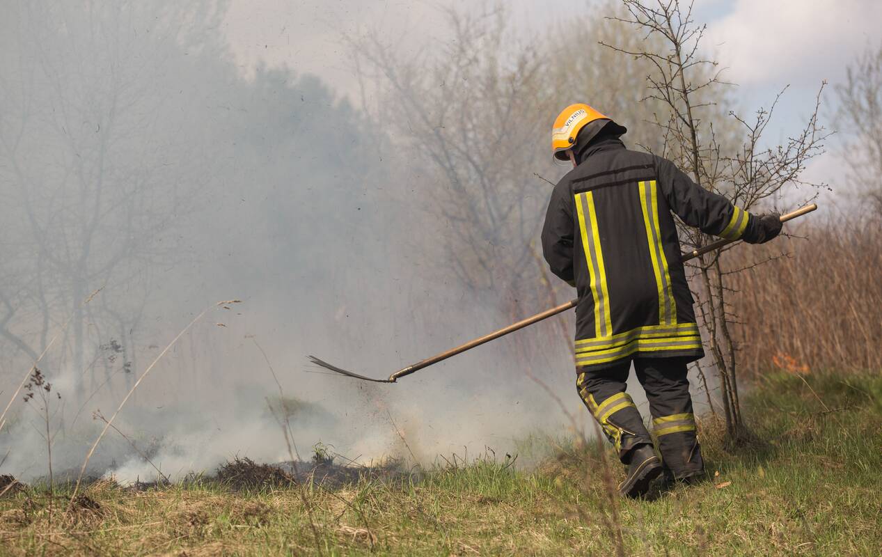 
<span>Ugniagesiai: šiemet užsiliepsnojus žolei išdegė 39 hektarai atvirųjų teritorijų</span>
