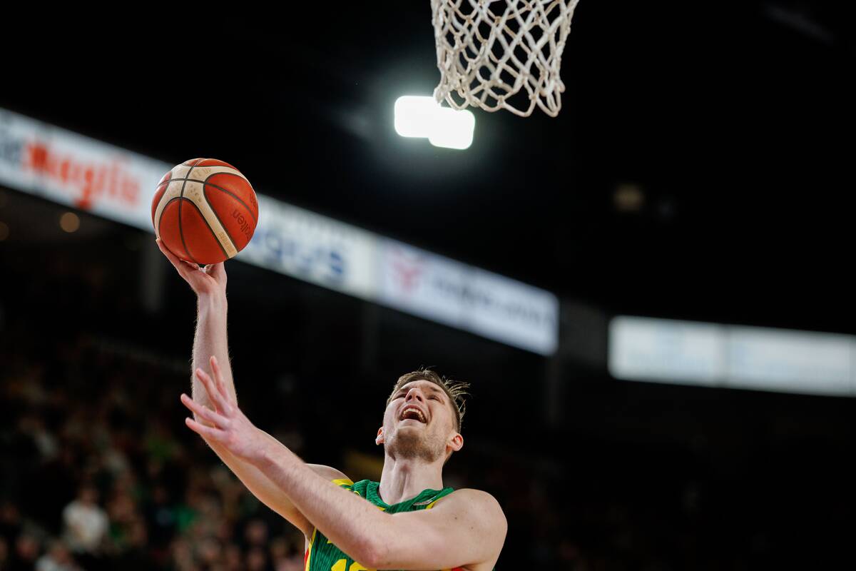Pasaulio krepšinio čempionato atranka: Lietuva – Islandija 99:82