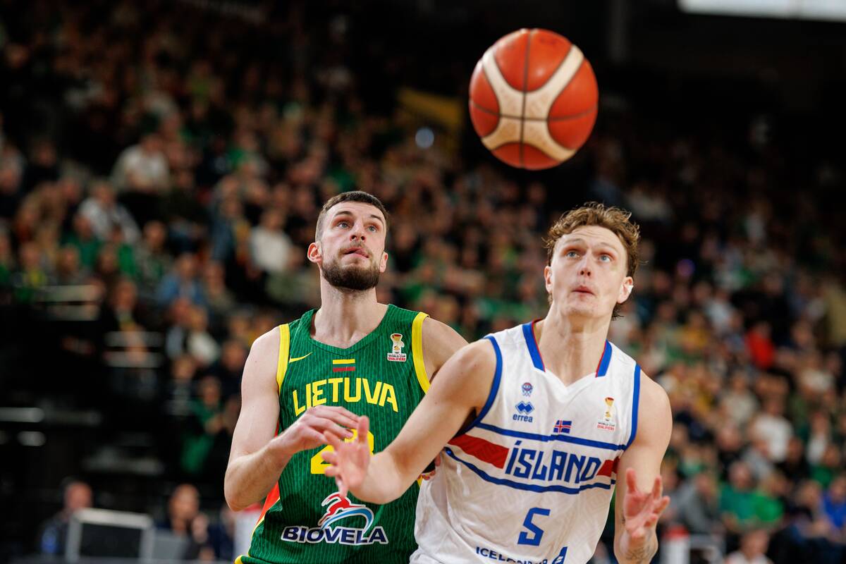 Pasaulio krepšinio čempionato atranka: Lietuva – Islandija 99:82