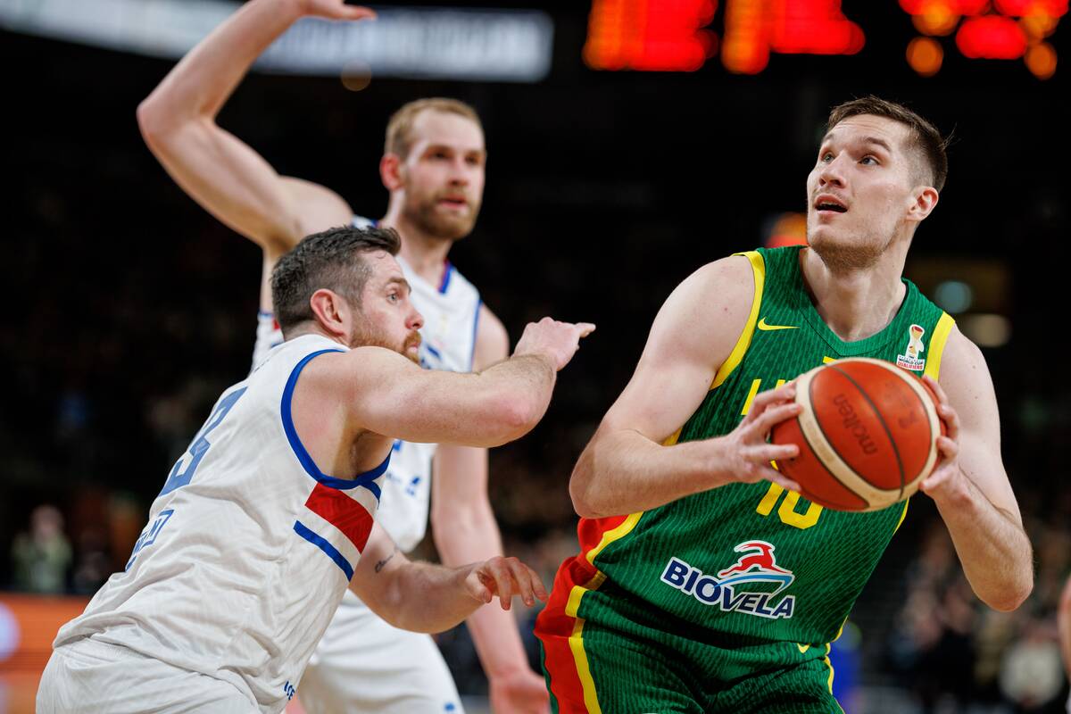 Pasaulio krepšinio čempionato atranka: Lietuva – Islandija 99:82