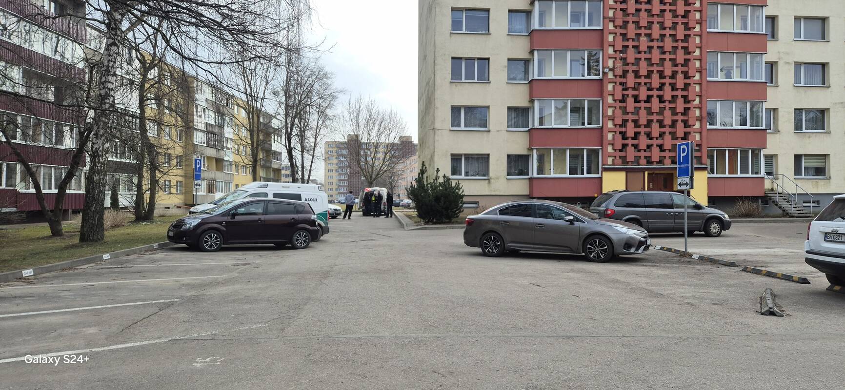 Peiliu sužaloto futbolininko Alytuje įvykio vieta