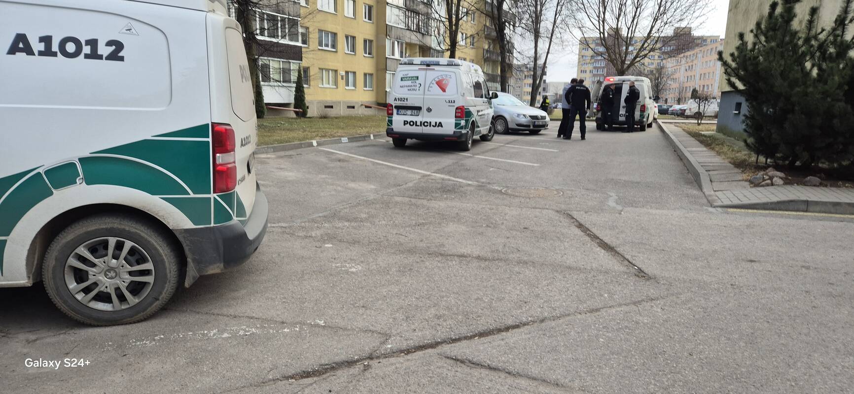 Peiliu sužaloto futbolininko Alytuje įvykio vieta