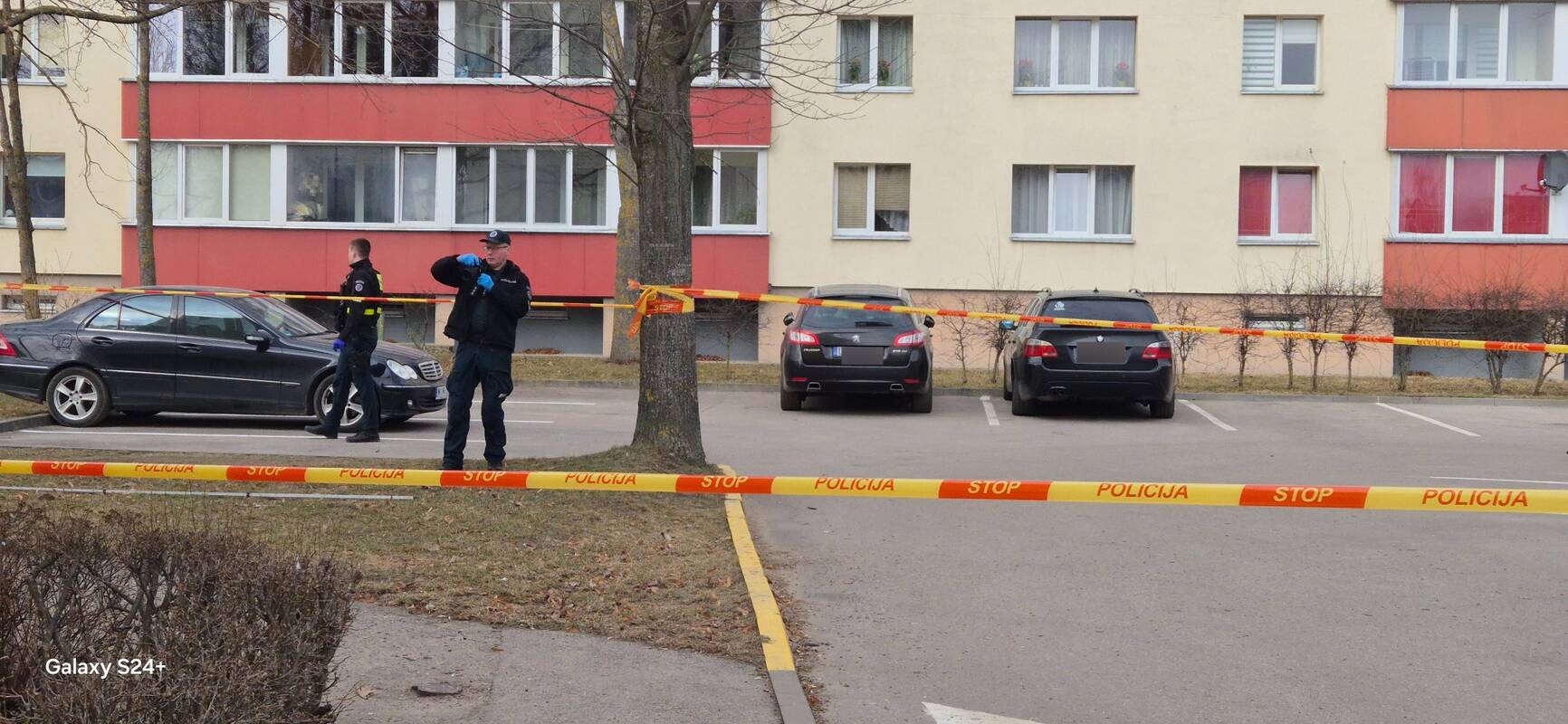 Peiliu sužaloto futbolininko Alytuje įvykio vieta