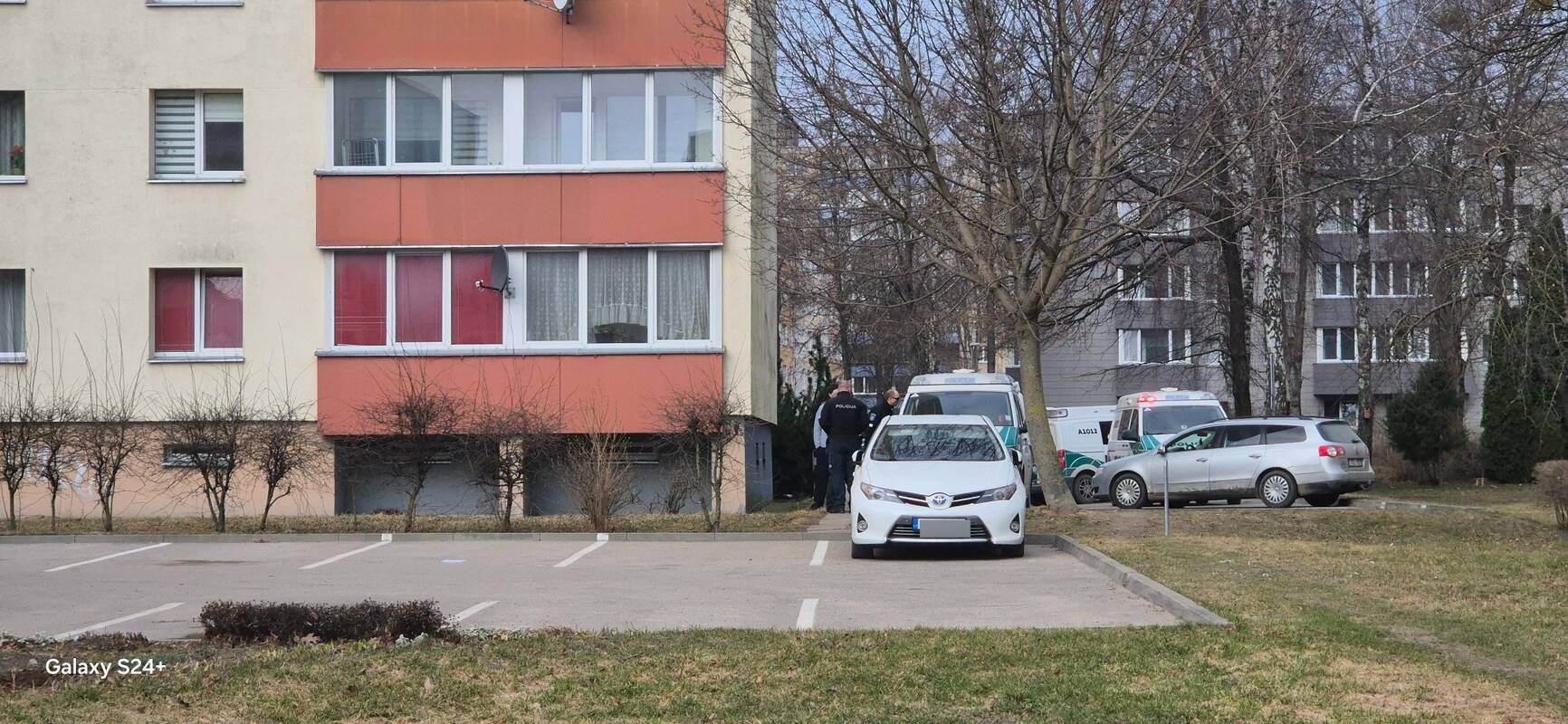 Peiliu sužaloto futbolininko Alytuje įvykio vieta