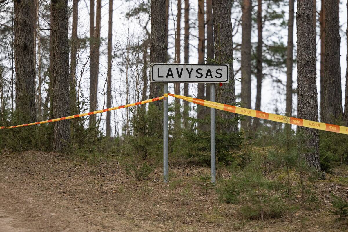 Ant Lavyso ežero nukritęs objektas