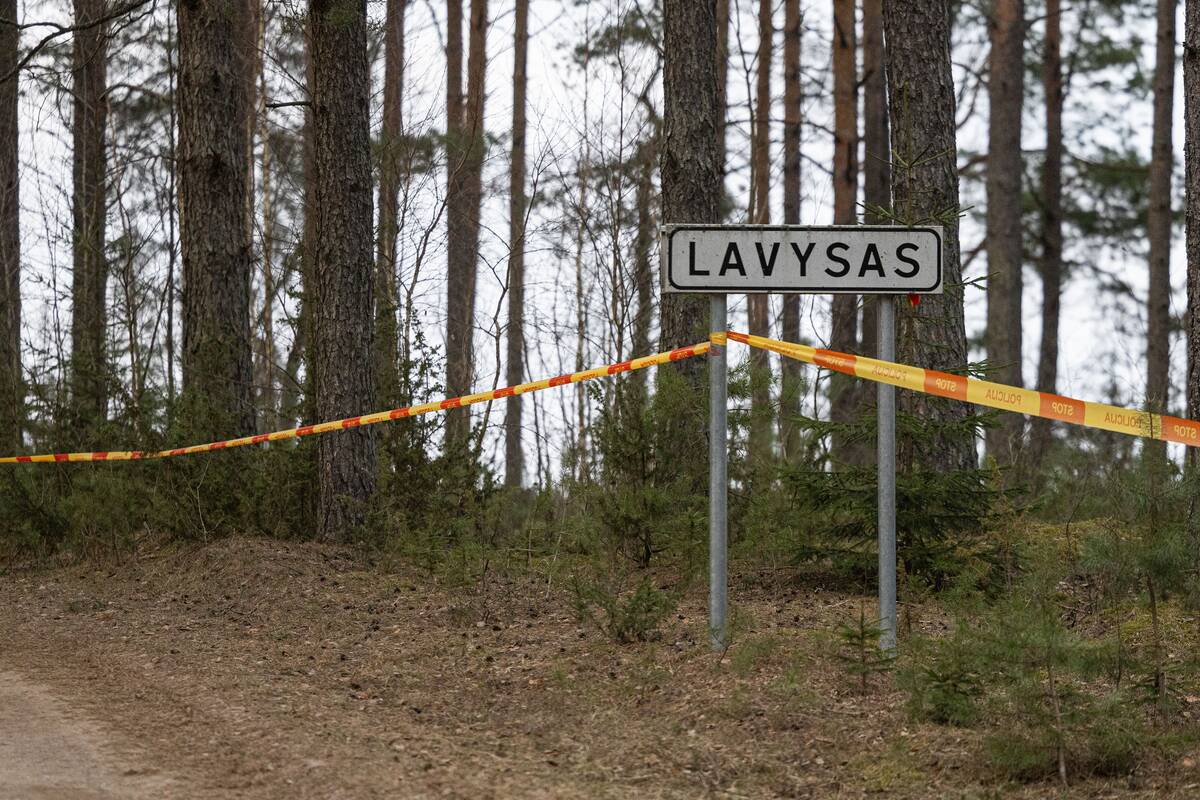Ant Lavyso ežero nukritęs objektas