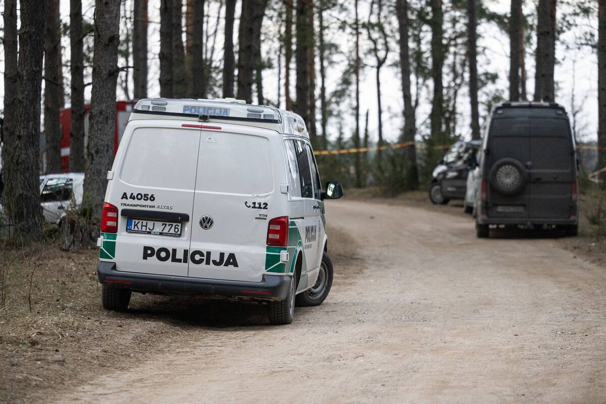 Ant Lavyso ežero nukritęs objektas