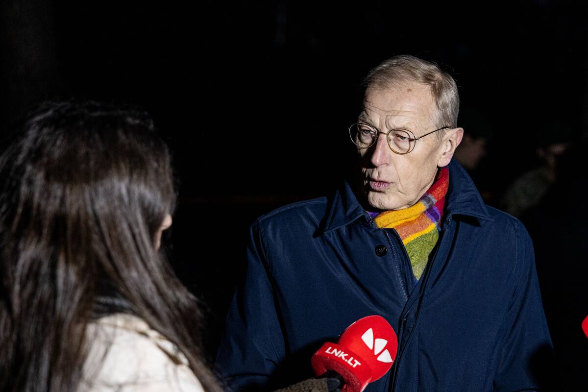 Ant Lavyso ežero nukritęs objektas