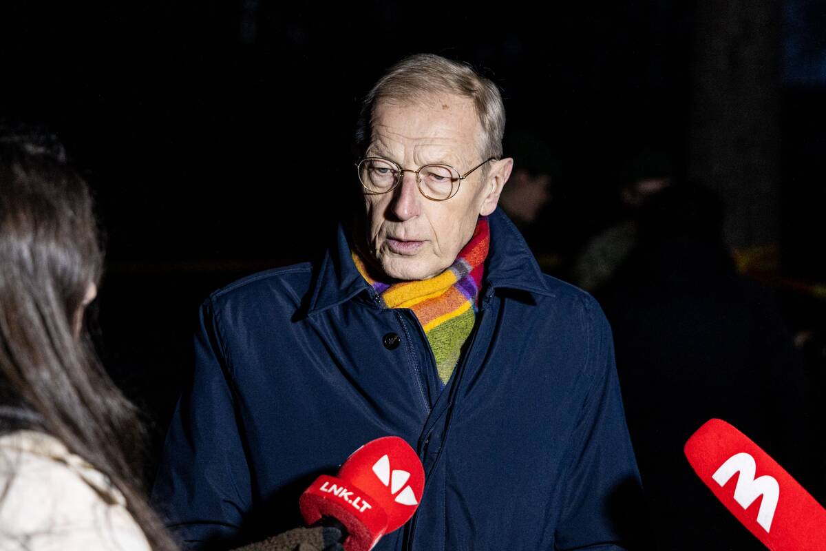 Ant Lavyso ežero nukritęs objektas