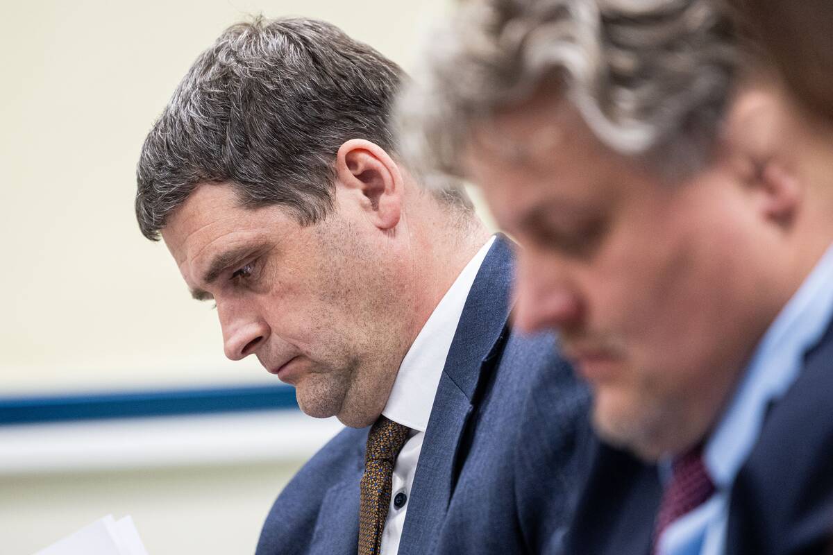 Remigijus Žemaitaitis VRK posėdyje