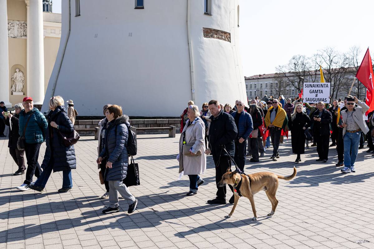Sąjūdžio „Už Lietuvos miškus“ mitingas prieš Kapčiamiesčio poligoną