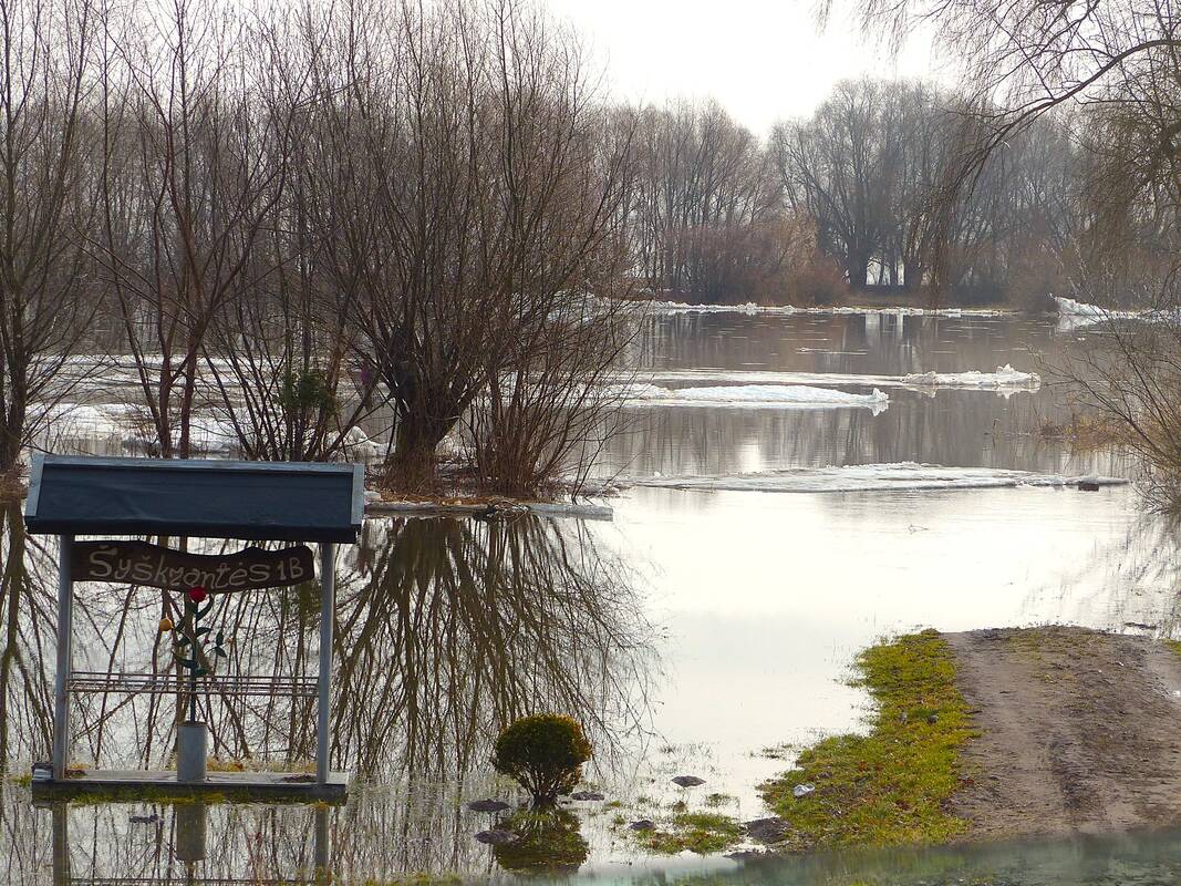 Gamta Nemuno deltoje: ledonešis ir užlietos pievos