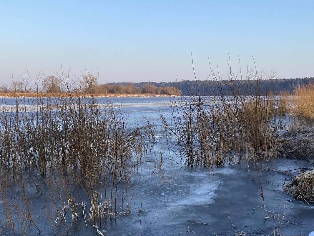 Ties Bitėnais