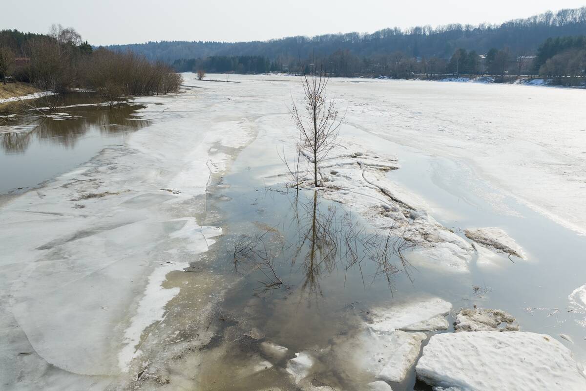 Ledų sangrūdos prie Radikių
