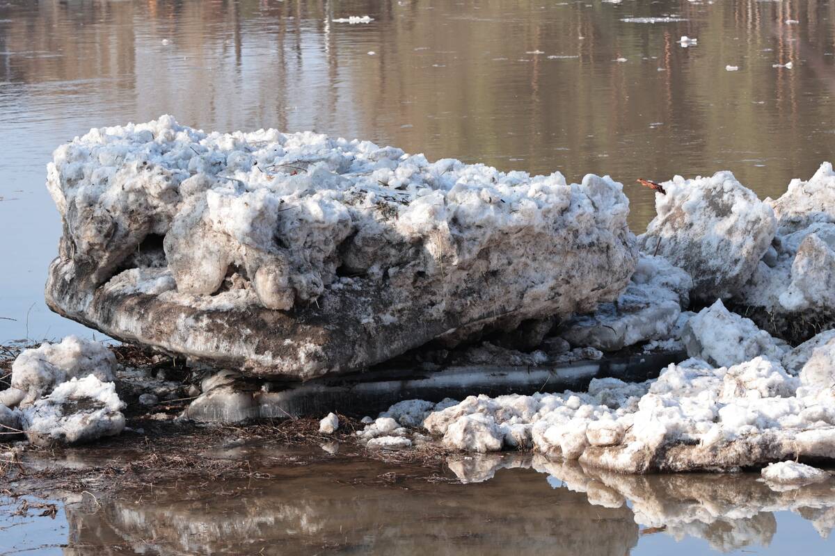 Radikių gyventojai pasakoja, kaip juos užklupo potvynis