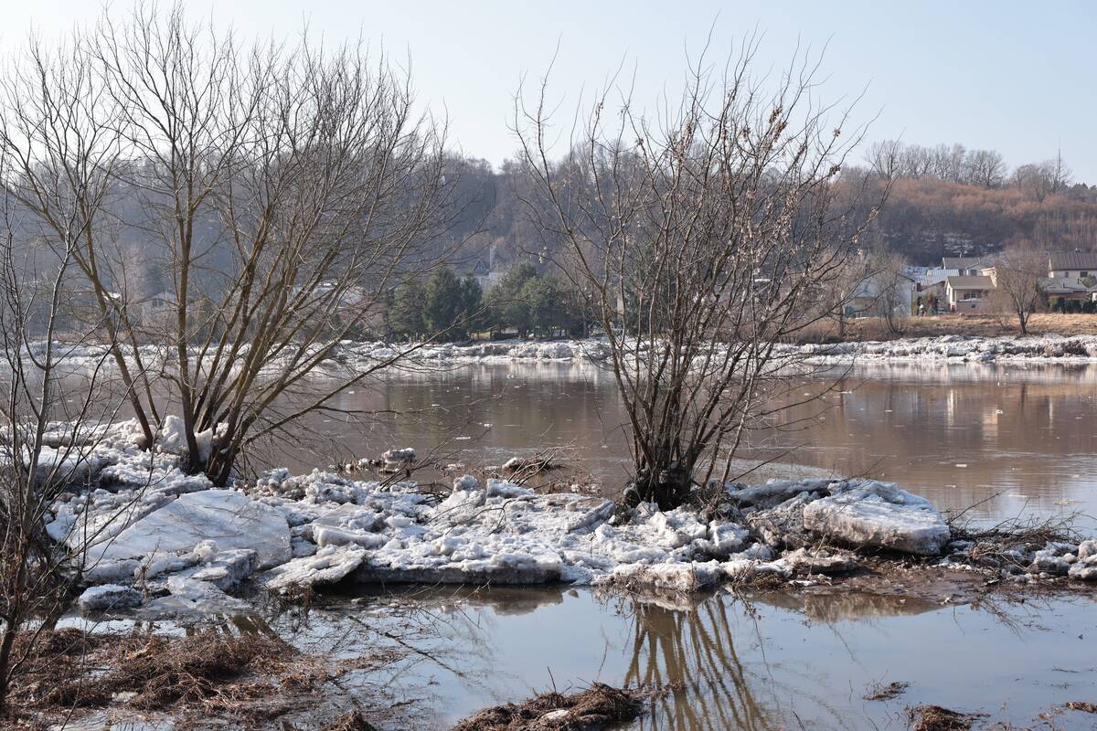 Radikių gyventojai pasakoja, kaip juos užklupo potvynis