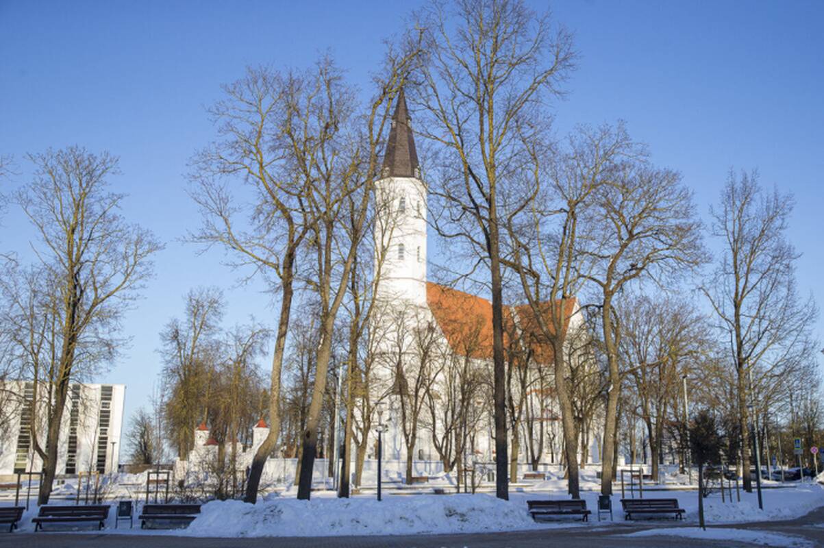
<span>Šiaulių centre atnaujinti sovietų karių palaikų iškėlimo darbai</span>
