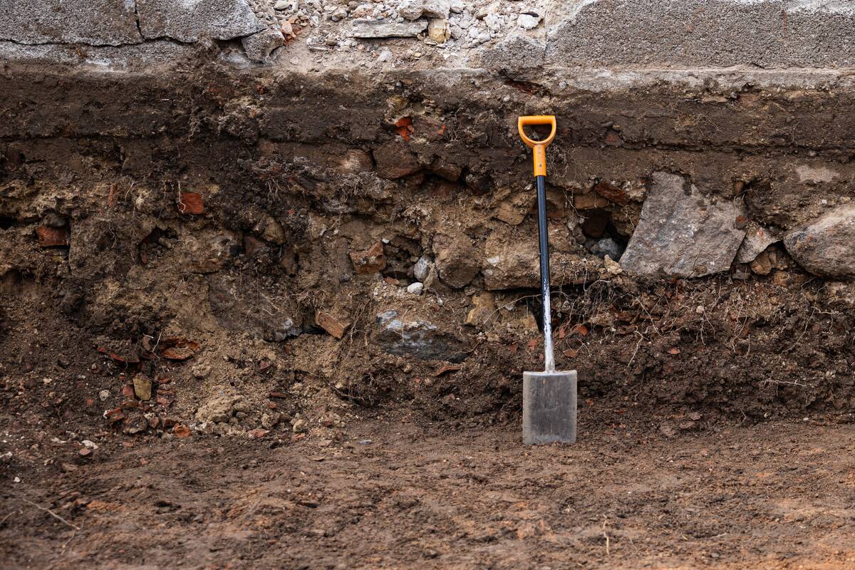 Prie Šiaulių katedros pradedami iškasti sovietų karių palaikai