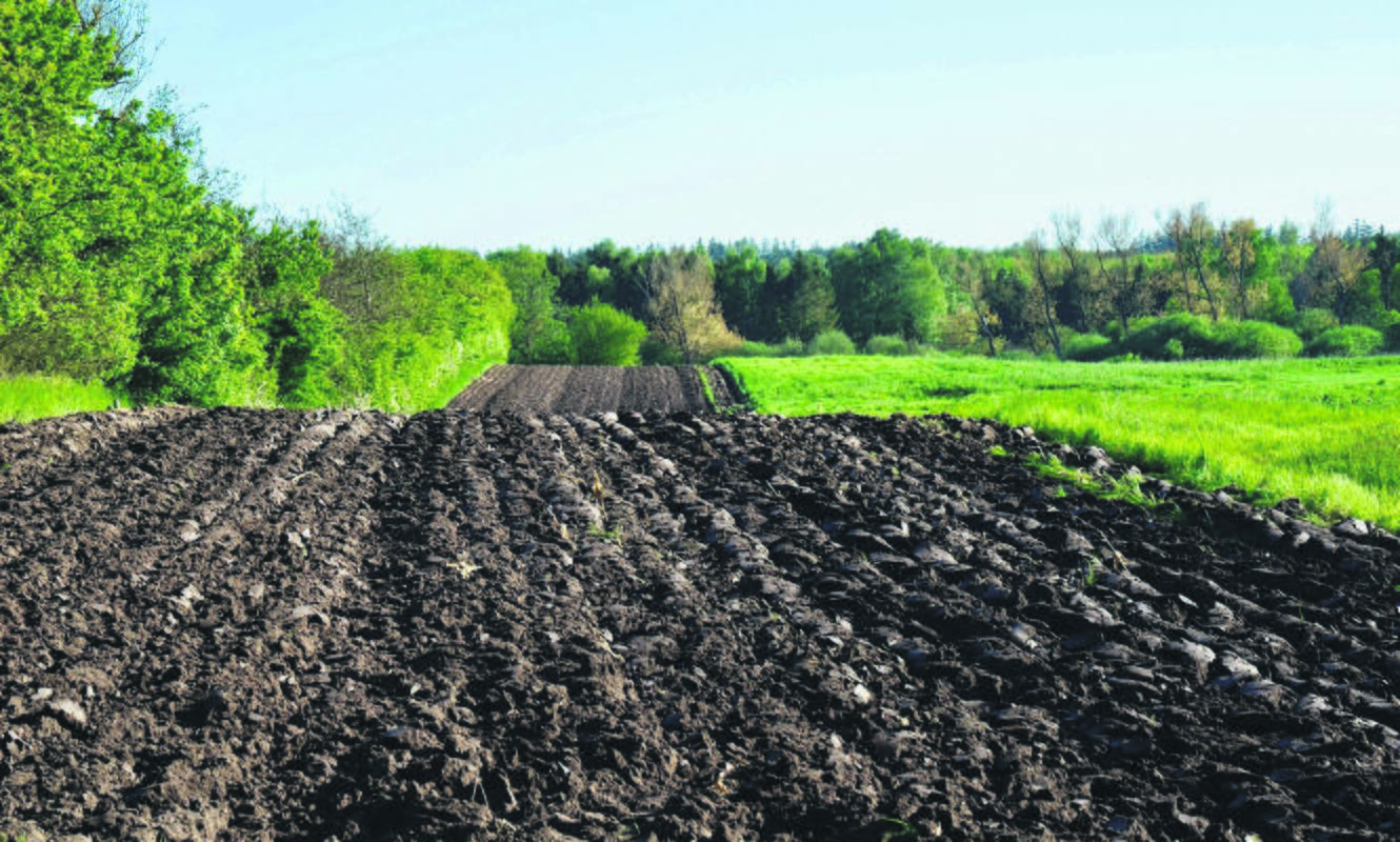 Neišsamu: šalies laukuose nuolat atliekami tik agrocheminiai tyrimai, kai įvertinamos dirvožemio agrocheminės savybės, bet ne jo užterštumas ar erozija.(