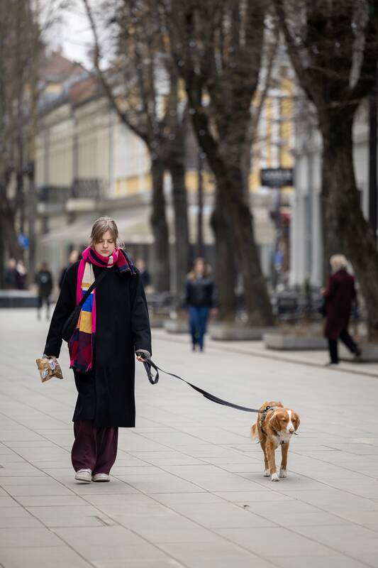 Kauniečių diena (2026-03-25)
