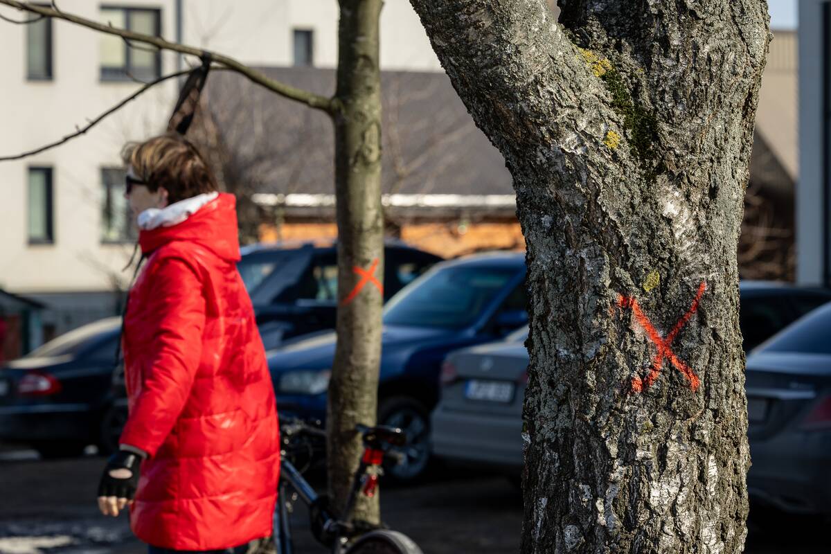 Šančiškių akcija pakrantei išsaugoti
