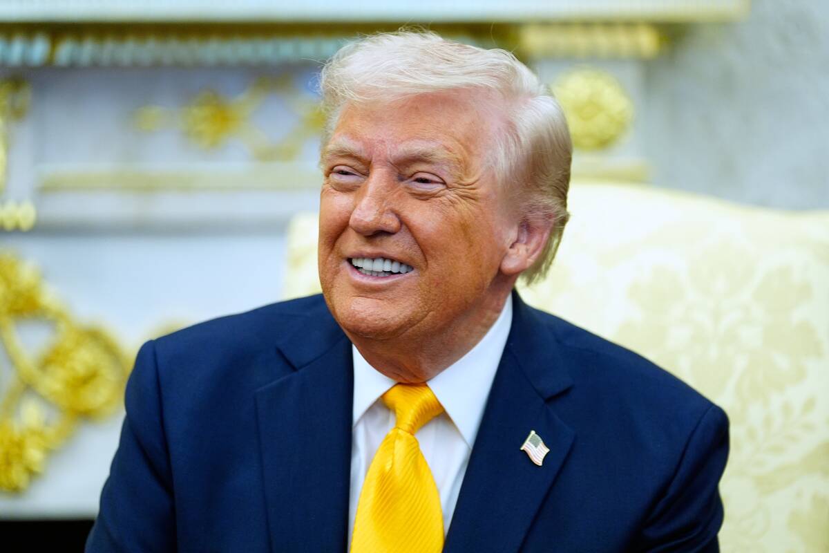 
<span>Trumpas NATO sąjungininkus išvadino bailiais</span>
