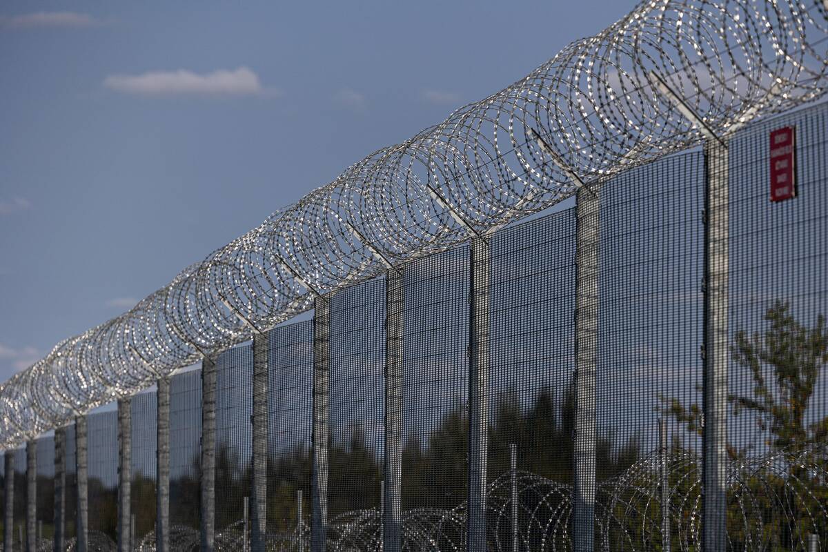 
<span>Pasienyje su Baltarusija apgręžta dešimt neteisėtų migrantų</span>
