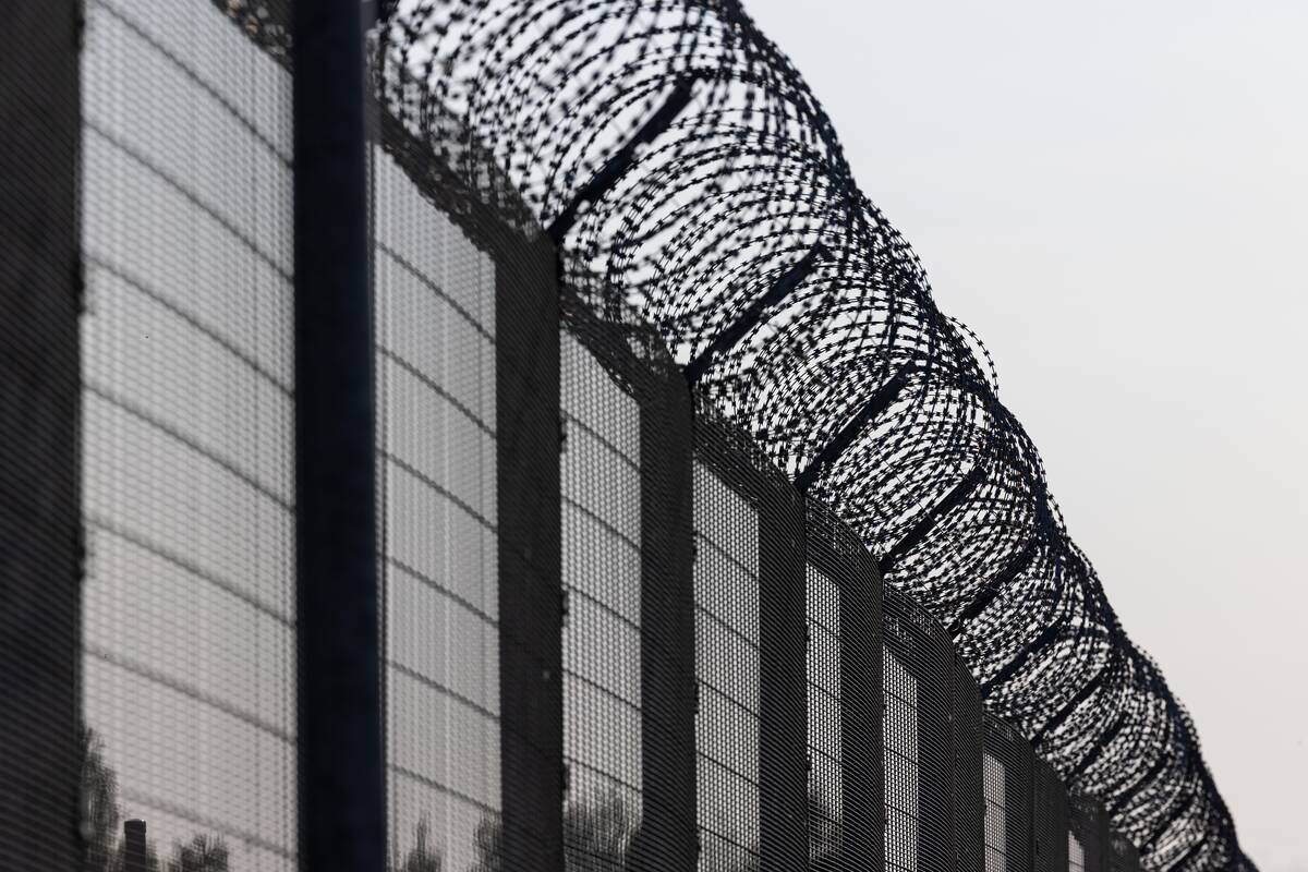 
<span>Pasienyje su Baltarusija apgręžti 38 neteisėti migrantai</span>

