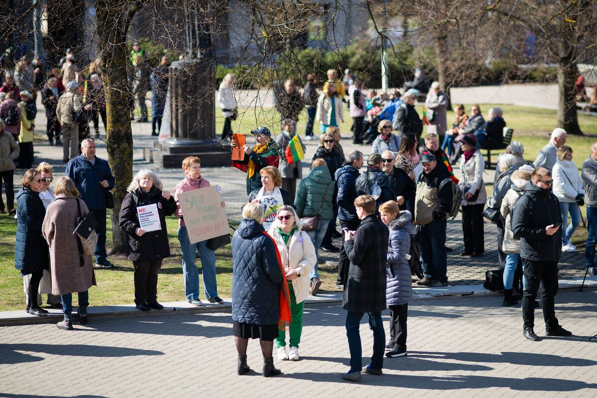 Mitingas Nepriklausomybės aikštėje