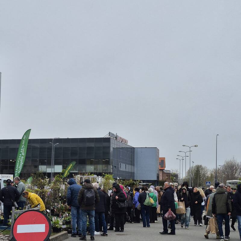 Bagažinių turguje – laimikių medžioklė