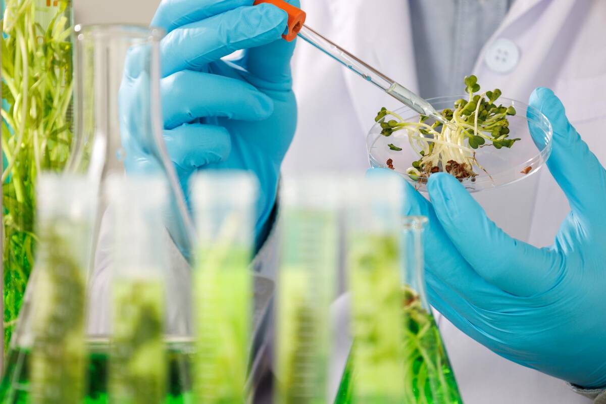 
<span>Misija išmaitinti pasaulį – ar biotechnologijos gali ją įgyvendinti?</span>
