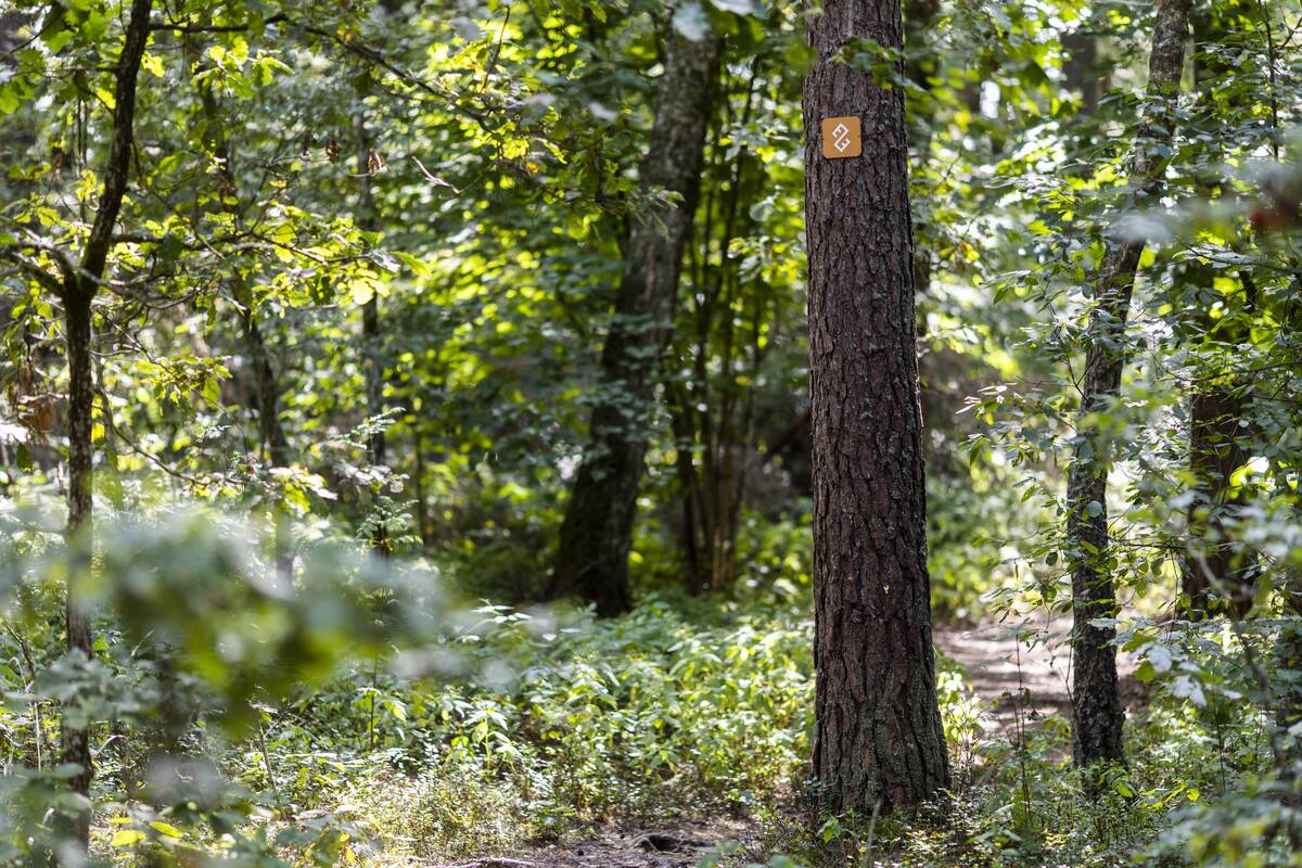 
<span>Ministrų kabinetas pritarė siūlymui išplėsti Biržų ir Gražutės regioninių parkų ribas</span>
