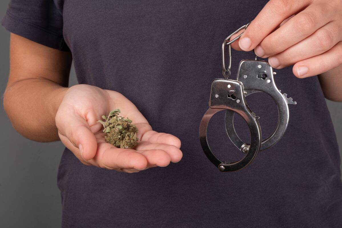 
<span>Dviem nepilnamečiams – nemalonumai: policija rado marihuanos</span>
