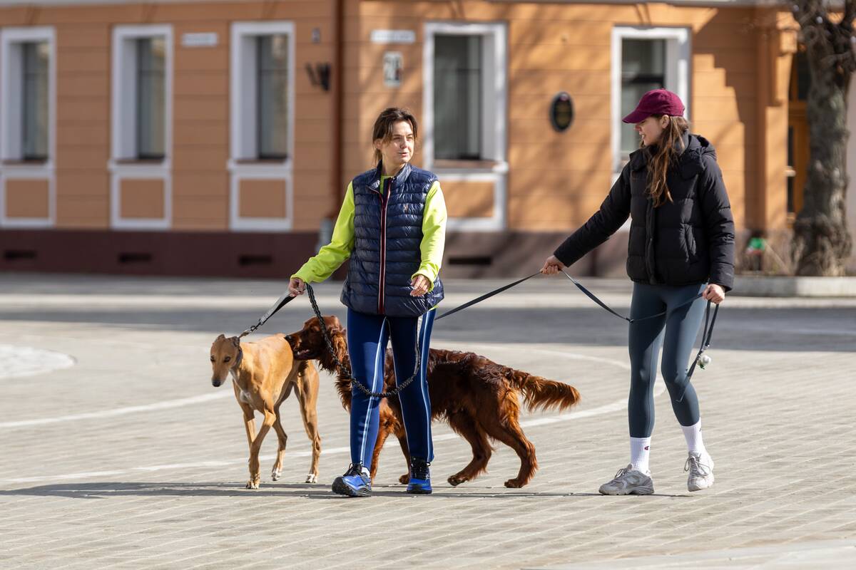 Kauniečių diena (2026-04-12)