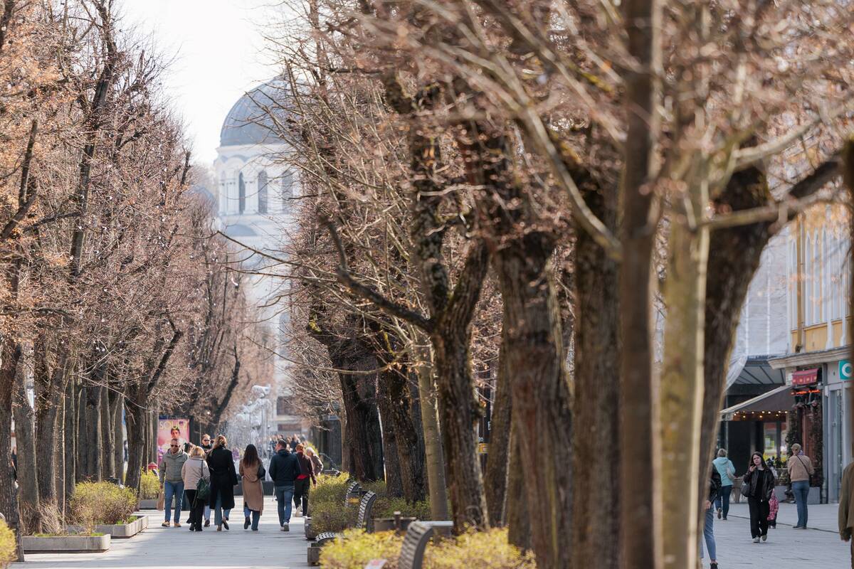 Kauniečių diena (2026-04-15)