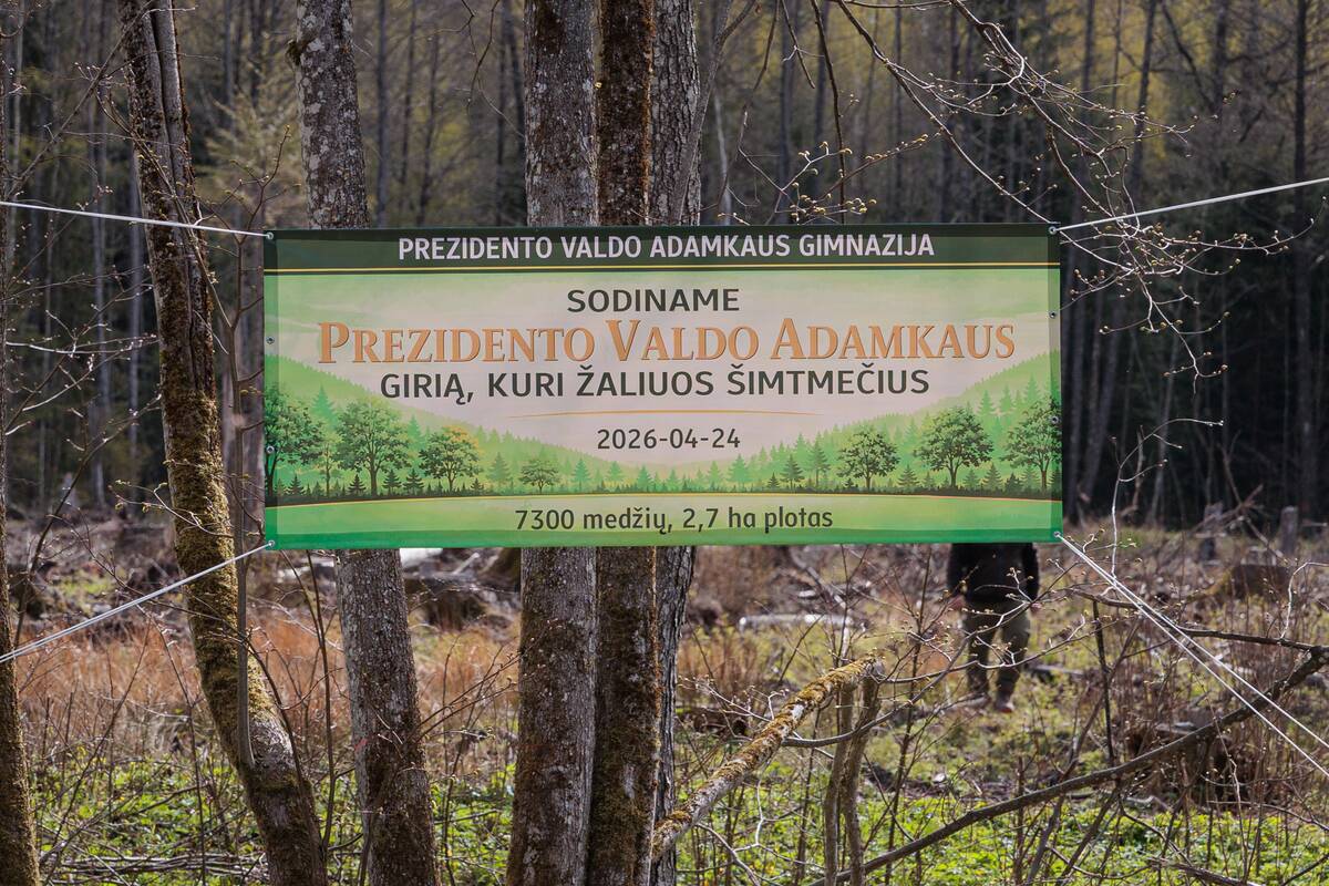 Prezidento Valdo Adamkaus vardo giraitės sodinimas