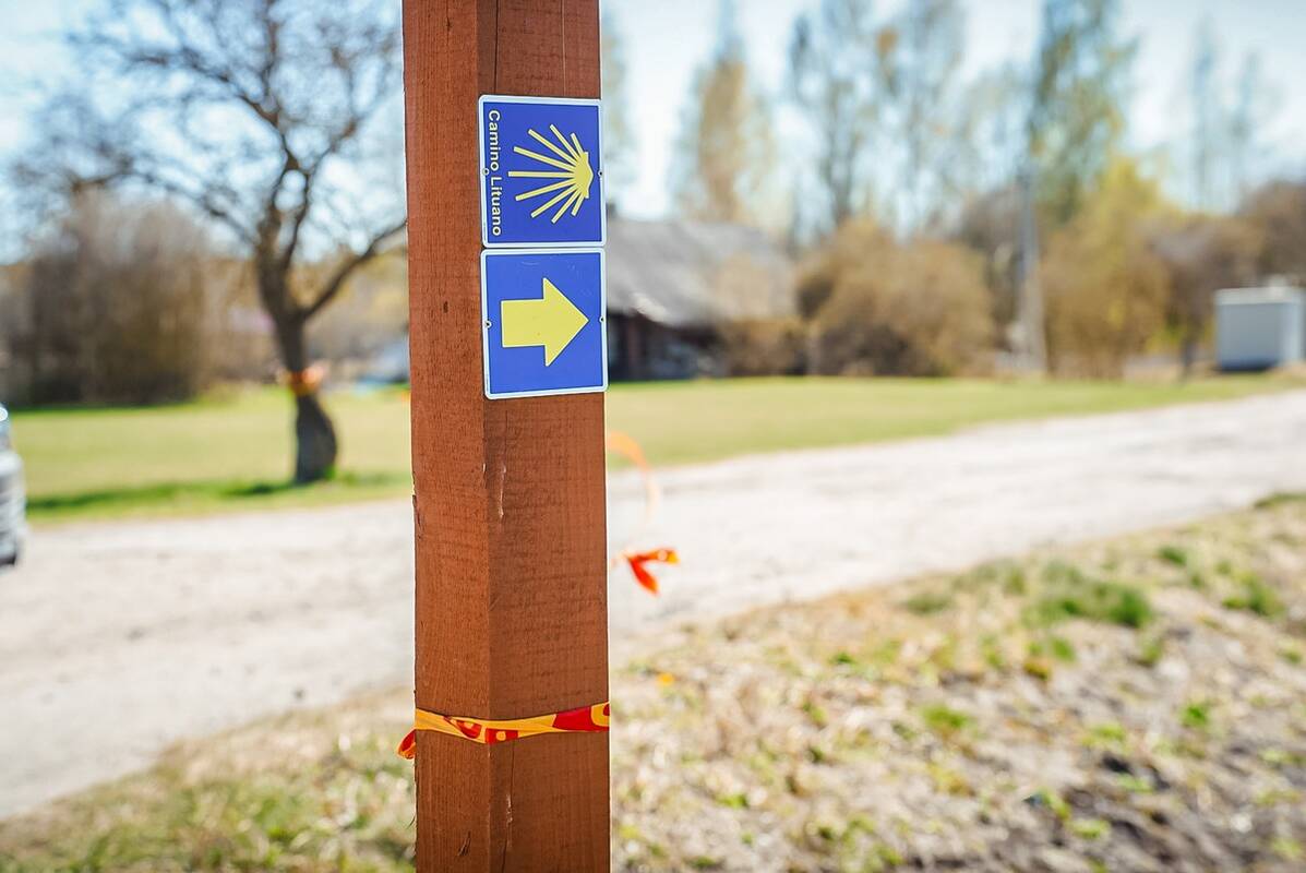 Panevėžio rajone rastas dingusio paramediko kūnas