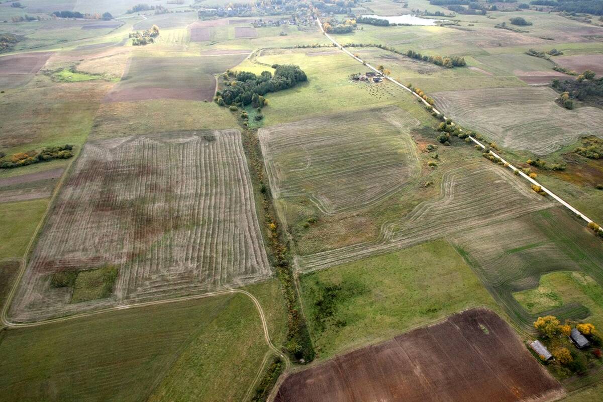 
<span>Vyriausybė: dėl šio projekto statybų bus paimta 280 sklypų ir 12 statinių</span>
