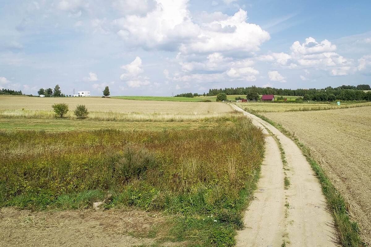 
<span>ŽŪM plečia palūkanų kompensavimo taisykles: paramą galės gauti daugiau ūkių? </span>
