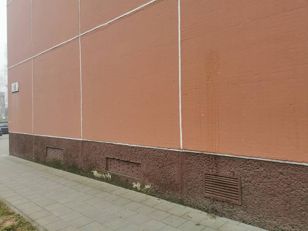 Vandalizmas: vieno Ievos Simonaitytės gatvės daugiabučio fasadas jau ne pirmą kartą apmėtomas kiaušiniais.