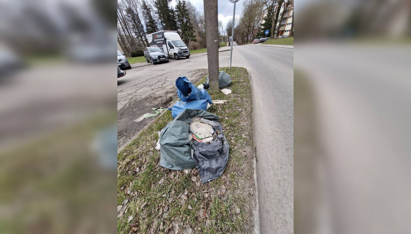Vaizdas: baiminamasi, kad Jaunystės gatvė pamažu netaptų sąvartynu.
