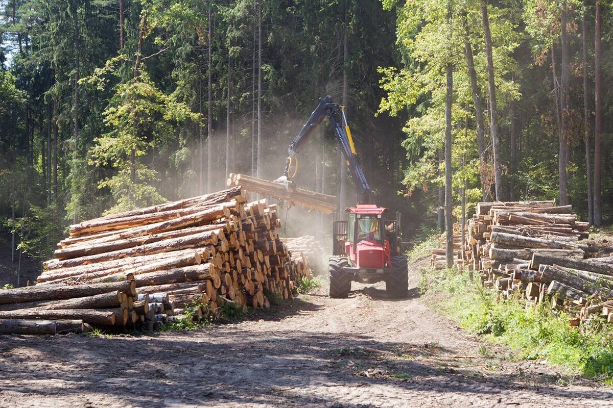 
<span>Ministerija: priėmus šias pataisas medienos pramonės vertė sumažėtų 2–3 proc.</span>
