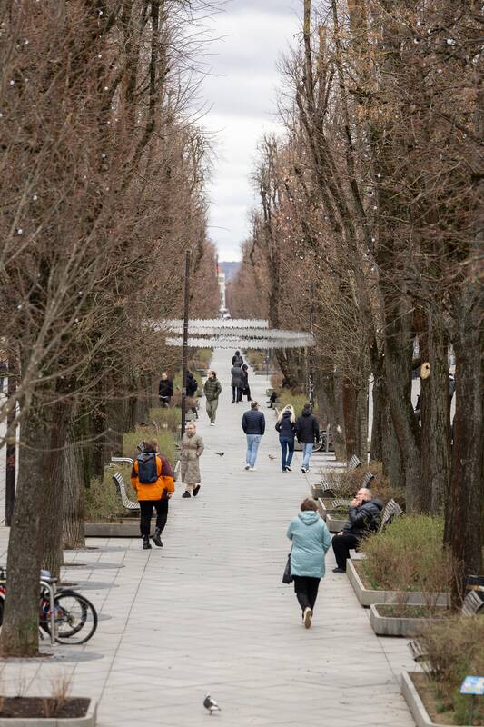 Kauniečių diena (2026-04-07)