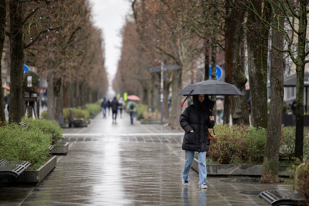 Kauniečių diena (2026-04-16)