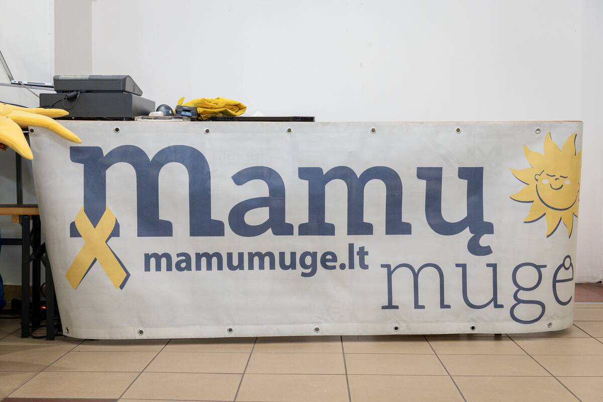 Mamų mugė Kaune